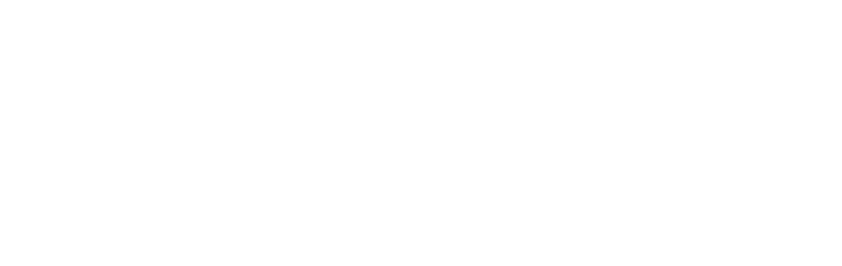 WISM Group